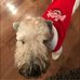 Traci Sarver - Facebook