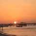 Tracy Sasser - Facebook