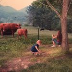 Tracy Sasser Baker - @tracysasserbaker - Instagram