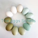 Tracy Schell - @theeggschells - Instagram