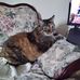 Tracy Schell - Facebook