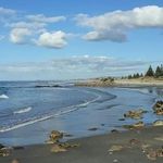 Tracey Scherer - @tracey.scherer.5 - Instagram