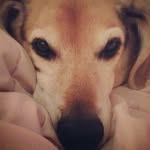 trAcy schnell - @schnell_tracy - Instagram
