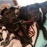 Tracy Whitehead - @tracy_schnellman - Instagram