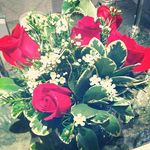 Tracy Schreier - @crypalpendeb510 - Instagram