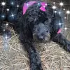 Tracy Schulte - @onefeather24 - TikTok