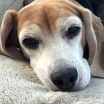 Tracy Schultenover - @tracyschultenover - Instagram