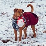 Tracy Schultz - @tracyschultz0722 - Instagram