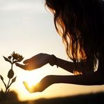Tracy Seely - @therapeiaessentials - Instagram