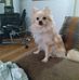 Tracy Sellers - Facebook