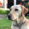 Tracy Sellers - @tracysellers91 - TikTok