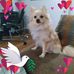 Tracy Sellers - Facebook