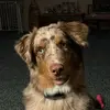 tracysettelmeyer - @tracysettelmeyer - TikTok