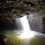 Wayne Tracy Shephard - @wayne.shephard.3 - Instagram