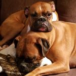 Tracy Shipley Perrucci - @tracyperrucci - Instagram