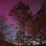Tracey Shirk Dolan - @tdolan12571 - Instagram