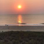 Tracy Shirk - @shirktracy - Instagram