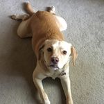 Tracy Silcox - @tsil624 - Instagram