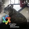 Tracy Siler - @tracysiler0 - TikTok