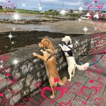 Tracy Sims - @tracy.sims.737 - Instagram