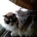 Tracy Sims - Facebook
