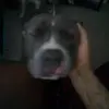 Tracy Sims - @tracy.sims3 - TikTok