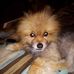 Tracy Singleton - Facebook