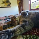 Tracy Skaggs - @divepro01 - Instagram