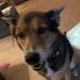 Tracy Skaggs - Facebook