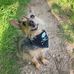 Tracie Slade - Facebook