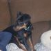 Tracey Slaughter - Facebook