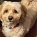 Tracey Slaughter - Facebook