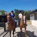 Tracey Sleeman - Facebook