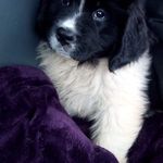 Tracy Small - @tracysmall12345 - Instagram