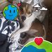 Tracy Smallwood - Facebook