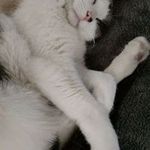 Tracy Snell-Oehlerking - @tracy_snell_oeherking - Instagram