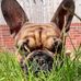 Tracy Somers - Facebook