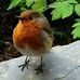 Tracy Spear - Facebook
