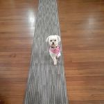 Tracy Spears - @tracyspears45 - Instagram