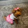 Tracy Spiers - @tracy.spiers - TikTok