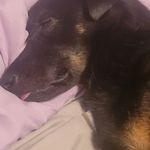 Tracy Spitzer - @tracyspitzer - Instagram