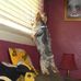 Tracy Spritzer - Facebook