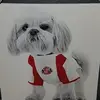 traceyspoors8 - @traceyspoors8 - TikTok