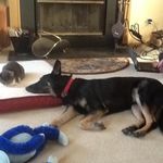 Tracy Holohan Sprague - @holohansprague - Instagram