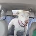 Tracy Sprague Reardon - Facebook