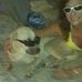 Tracy Staats - Facebook