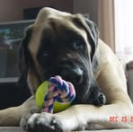 Traci Stahl - Facebook