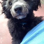 Tracy Stahl - @tracy.allanson.3 - Instagram