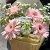 Tracy stein - @tracy.stein7 - TikTok