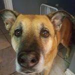 tracy stinson - @stinsonzoo - Instagram